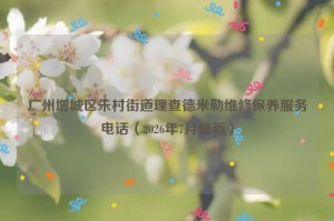广州增城区朱村街道理查德米勒维修保养服务电话（2026年7月最新）