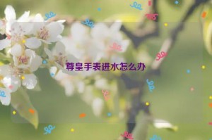 尊皇手表进水怎么办