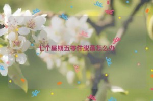 七个星期五零件脱落怎么办