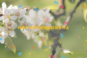 尚维沙手表异响的维修保养方法