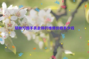 郑州万国手表走停的维修价格多少钱