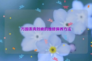 万国表壳划痕的维修保养方法