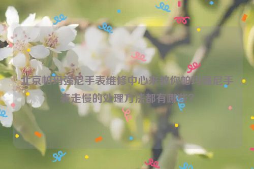 北京帕玛强尼手表维修中心来教你帕玛强尼手表走慢的处理方法都有哪些？