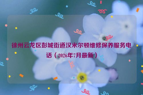 徐州云龙区彭城街道汉米尔顿维修保养服务电话（2026年7月最新）