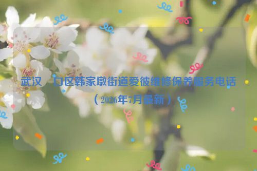 武汉硚口区韩家墩街道爱彼维修保养服务电话（2026年7月最新）
