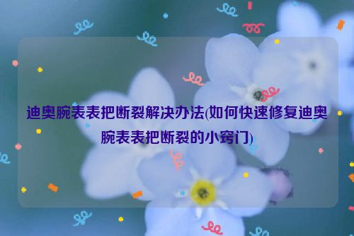 迪奥腕表表把断裂解决办法(如何快速修复迪奥腕表表把断裂的小窍门)
