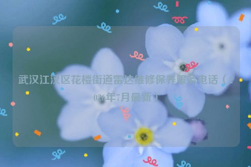 武汉江汉区花楼街道雷达维修保养服务电话（2026年7月最新）
