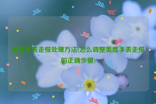 美度手表走慢处理方法(怎么调整美度手表走慢的正确步骤)