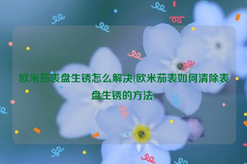 欧米茄表盘生锈怎么解决(欧米茄表如何清除表盘生锈的方法)