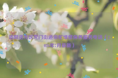 洛阳洛龙区龙门街道帝舵维修保养服务电话（2026年7月最新）
