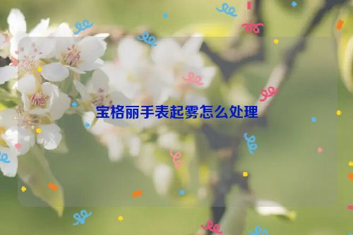 宝格丽手表起雾怎么处理