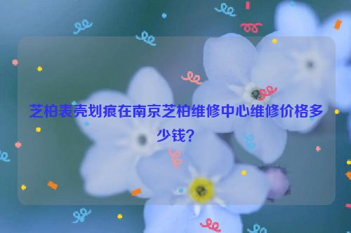 芝柏表壳划痕在南京芝柏维修中心维修价格多少钱?