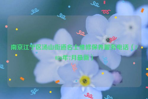 南京江宁区汤山街道名士维修保养服务电话（2026年7月最新）