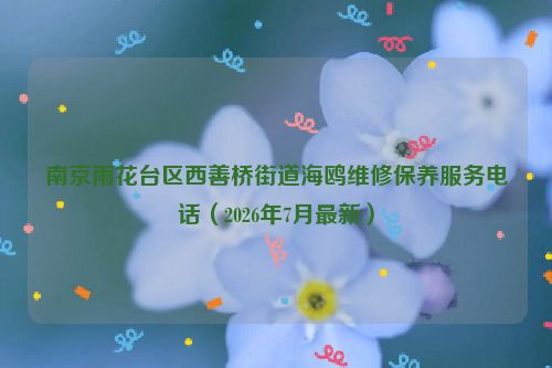 南京雨花台区西善桥街道海鸥维修保养服务电话（2026年7月最新）