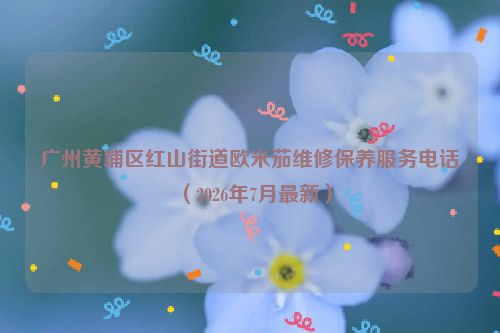 广州黄埔区红山街道欧米茄维修保养服务电话（2026年7月最新）