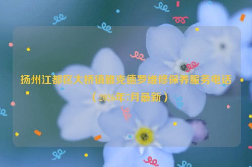 扬州江都区大桥镇雅克德罗维修保养服务电话（2026年7月最新）