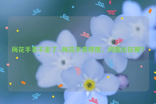 梅花手表不走了--梅花手表停摆,问题出在哪?