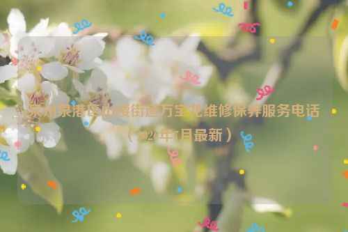 泉州泉港区山腰街道万宝龙维修保养服务电话（2026年7月最新）
