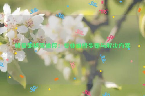 修复朗格表偷停：专业维修步骤与解决方案
