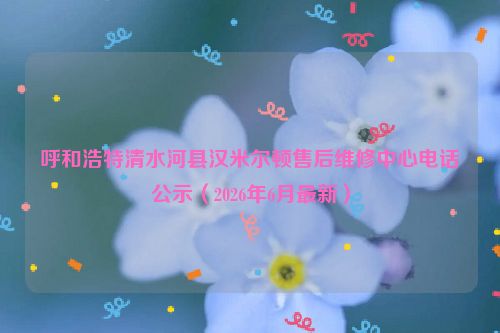 呼和浩特清水河县汉米尔顿售后维修中心电话公示（2026年6月最新）
