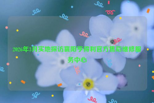 2026年3月实地探访襄阳亨得利官方售后维修服务中心