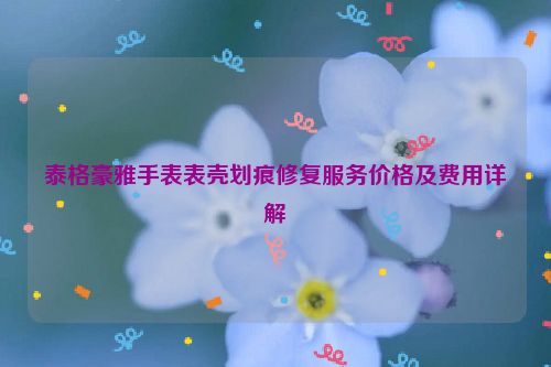 泰格豪雅手表表壳划痕修复服务价格及费用详解