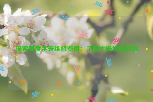 探索美度手表维修费用：了解大概价格范围
