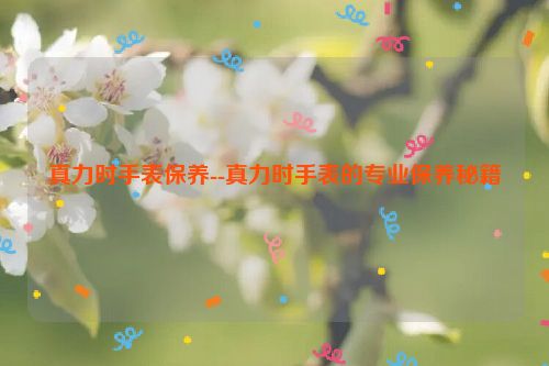 真力时手表保养--真力时手表的专业保养秘籍
