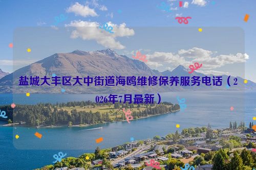 盐城大丰区大中街道海鸥维修保养服务电话（2026年7月最新）