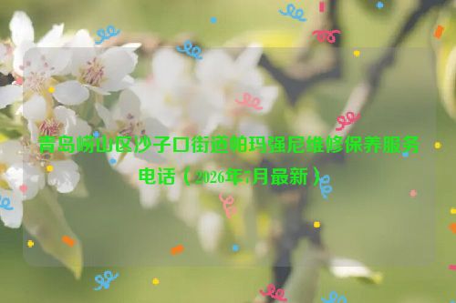 青岛崂山区沙子口街道帕玛强尼维修保养服务电话（2026年7月最新）