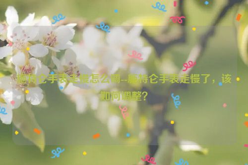 施特仑手表走慢怎么调--施特仑手表走慢了，该如何调整？
