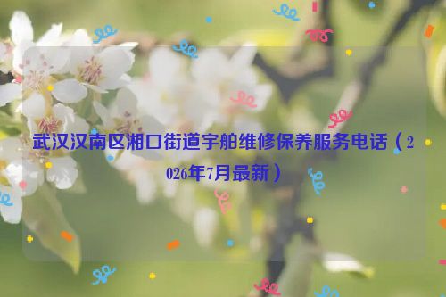 武汉汉南区湘口街道宇舶维修保养服务电话(2026年7月最新)