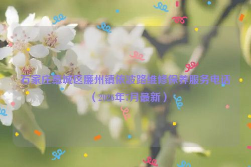 石家庄藁城区廉州镇依波路维修保养服务电话（2026年7月最新）