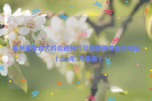 惠州惠东县大岭街道阿玛尼维修保养服务电话（2026年7月最新）