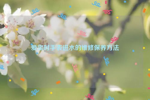 爱宝时手表进水的维修保养方法