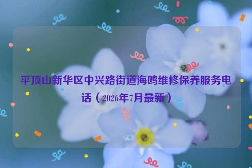 平顶山新华区中兴路街道海鸥维修保养服务电话（2026年7月最新）