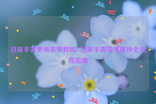 冠星手表更换表带教程--冠星手表表带更换全流程指南