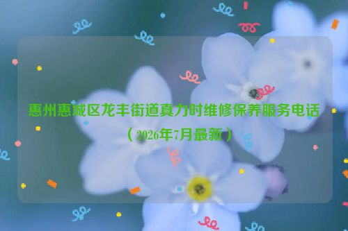 惠州惠城区龙丰街道真力时维修保养服务电话（2026年7月最新）