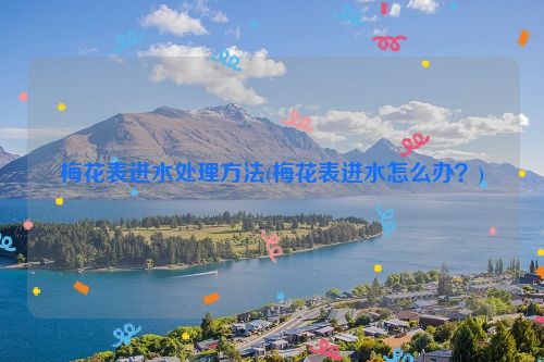 梅花表进水处理方法(梅花表进水怎么办？)