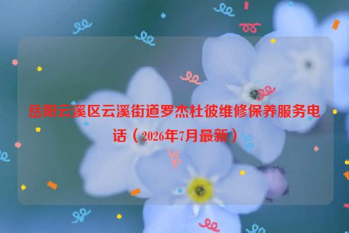 岳阳云溪区云溪街道罗杰杜彼维修保养服务电话（2026年7月最新）