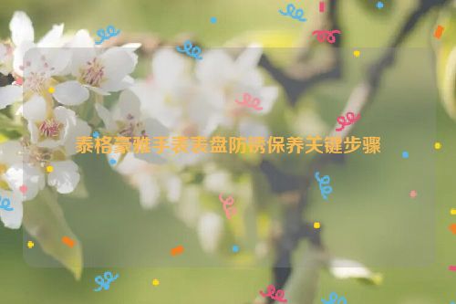 泰格豪雅手表表盘防锈保养关键步骤
