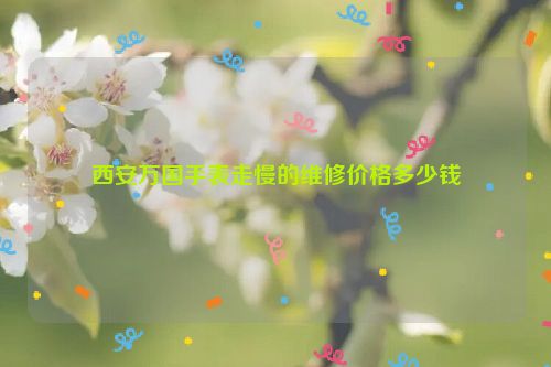 西安万国手表走慢的维修价格多少钱