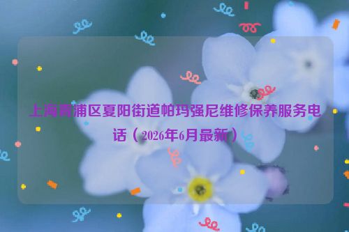 上海青浦区夏阳街道帕玛强尼维修保养服务电话（2026年6月最新）