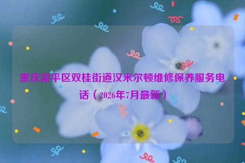 重庆梁平区双桂街道汉米尔顿维修保养服务电话（2026年7月最新）