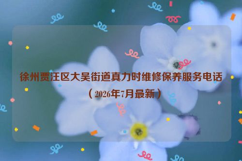 徐州贾汪区大吴街道真力时维修保养服务电话（2026年7月最新）
