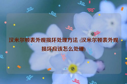 汉米尔顿表外观损坏处理方法 (汉米尔顿表外观损坏应该怎么处理)