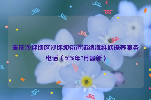 重庆沙坪坝区沙坪坝街道沛纳海维修保养服务电话（2026年7月最新）