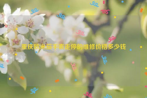 重庆欧米茄手表走停的维修价格多少钱