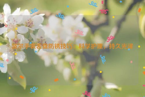 波尔手表表盘防锈技巧：科学护理，持久光泽