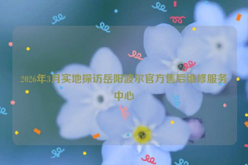 2026年3月实地探访岳阳波尔官方售后维修服务中心